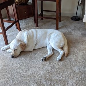 Meet your Posher, Tyler